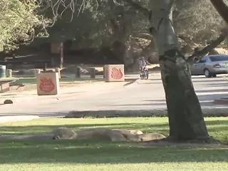 Teen Lesben Ashley und Scarlett haben spaß zusammen